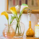 Horta Da Fonte 度假居 *