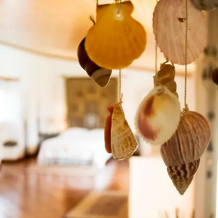 Ferienhaus Horta Da Fonte *