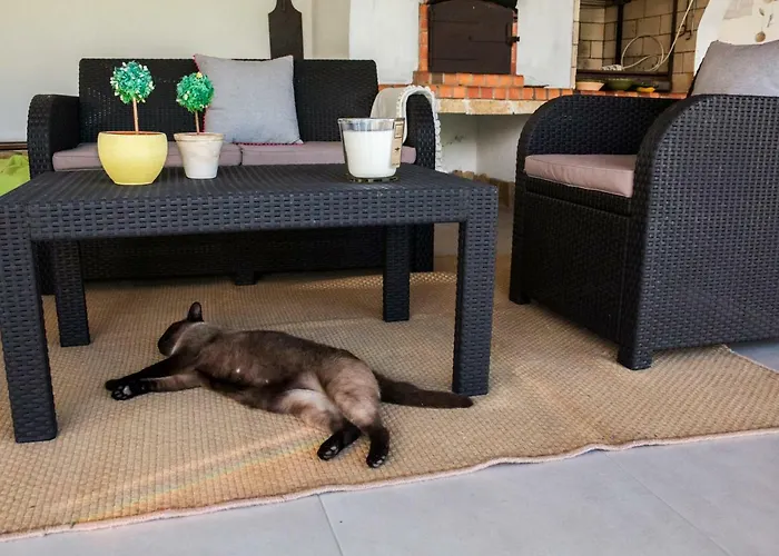 Horta Da Fonte Casa de Férias